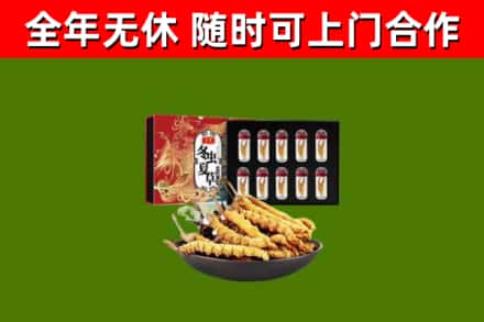 大观回收冬虫夏草价格